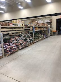 Corn & Feed