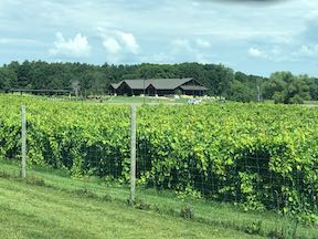 SEven Vines Winery Building