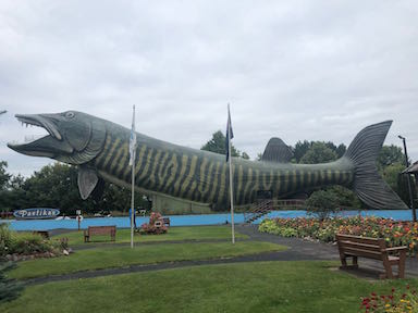 Big Fish Full
