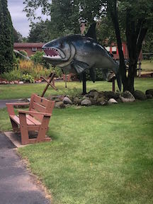 Outside Trout