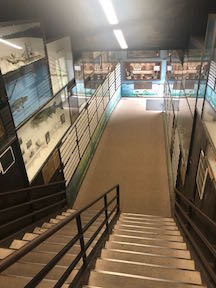 Stair Fish 2