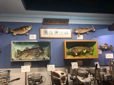 Walleyes