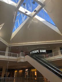 Sky Light