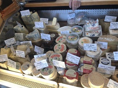 Cooler cheese