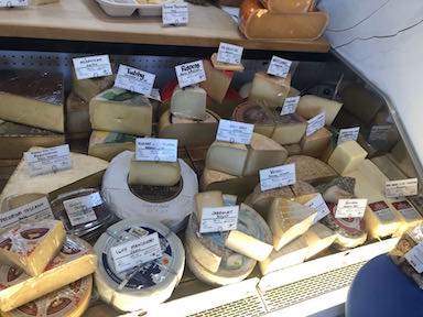 Cooler cheese